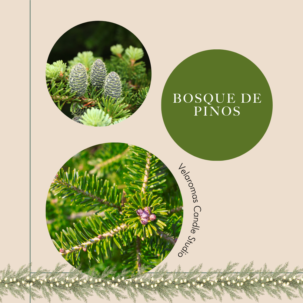 Bosque de Pinos - Candle