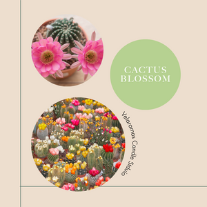 Amor & Gratitud (Cactus blossom) - Candle