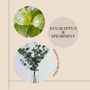 Eucalyptus & spearmint - Car diffuser