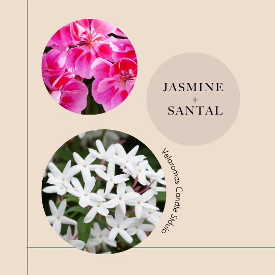 Jasmine + Santal - Candle