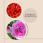Energía Femenina - Candle