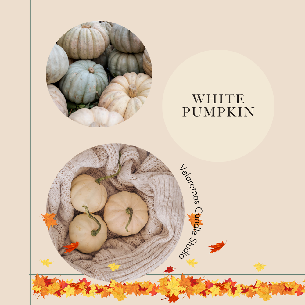 White Pumpkin - Car Diffuser