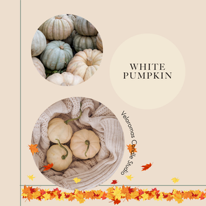 White Pumpkin - Car Diffuser