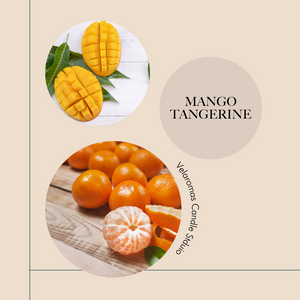 Mango Tangerine- Reed Diffuser